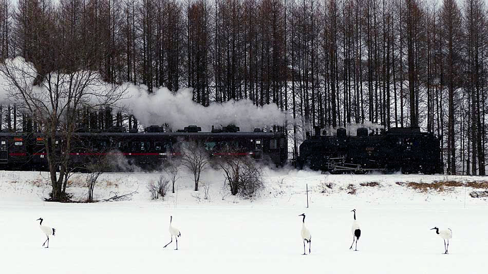 釧網本線の写真