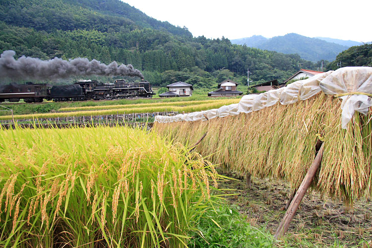 山口線の写真