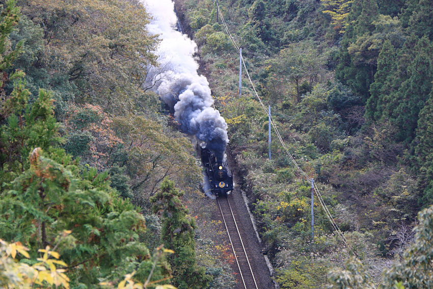 山口線の写真