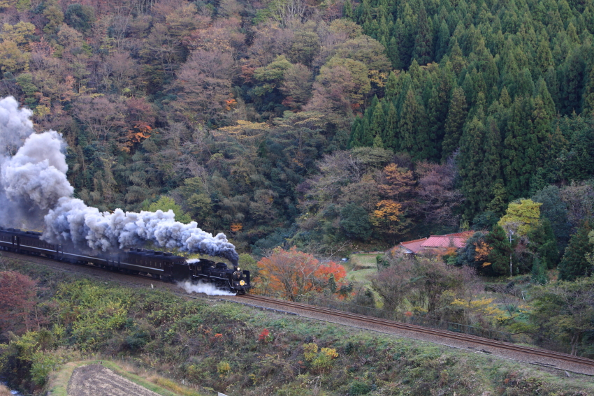 山口線の写真