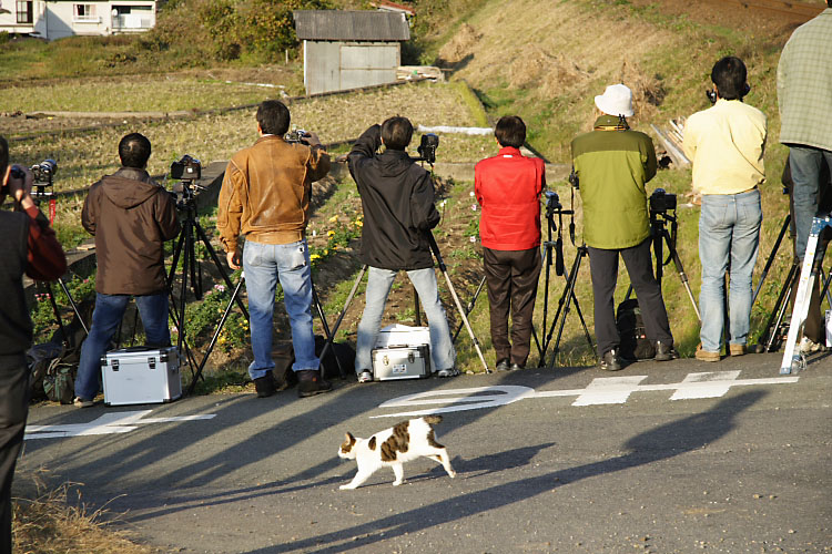 山口線の写真