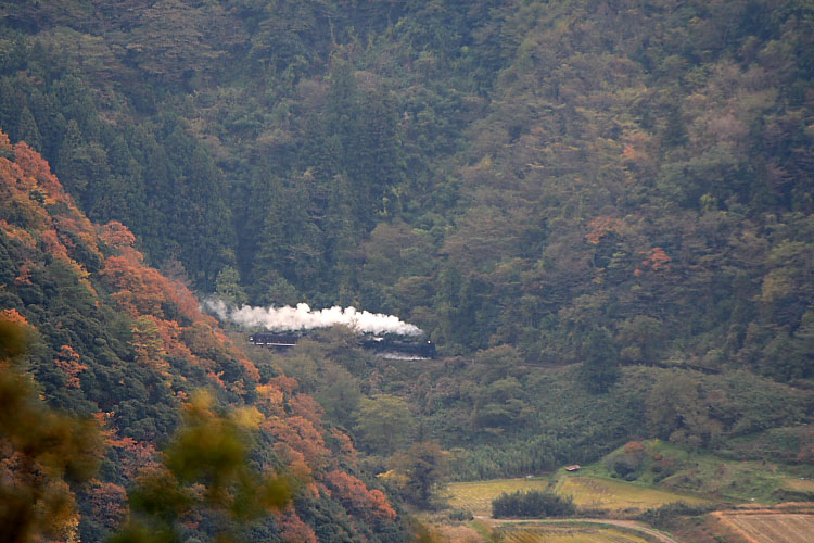 山口線の写真