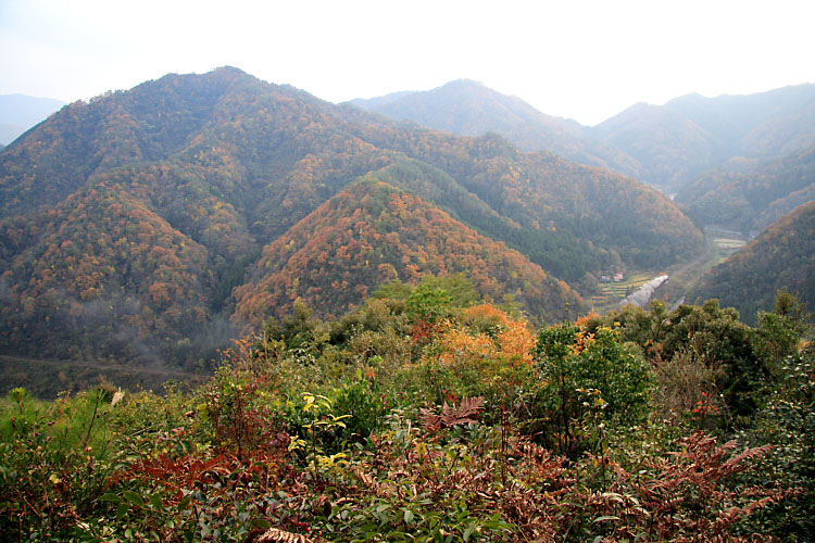 山口線の写真