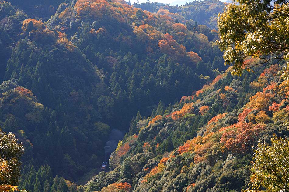 山口線の写真