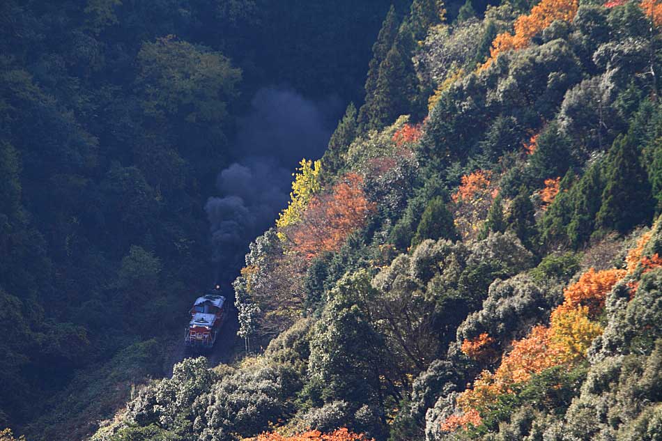 山口線の写真