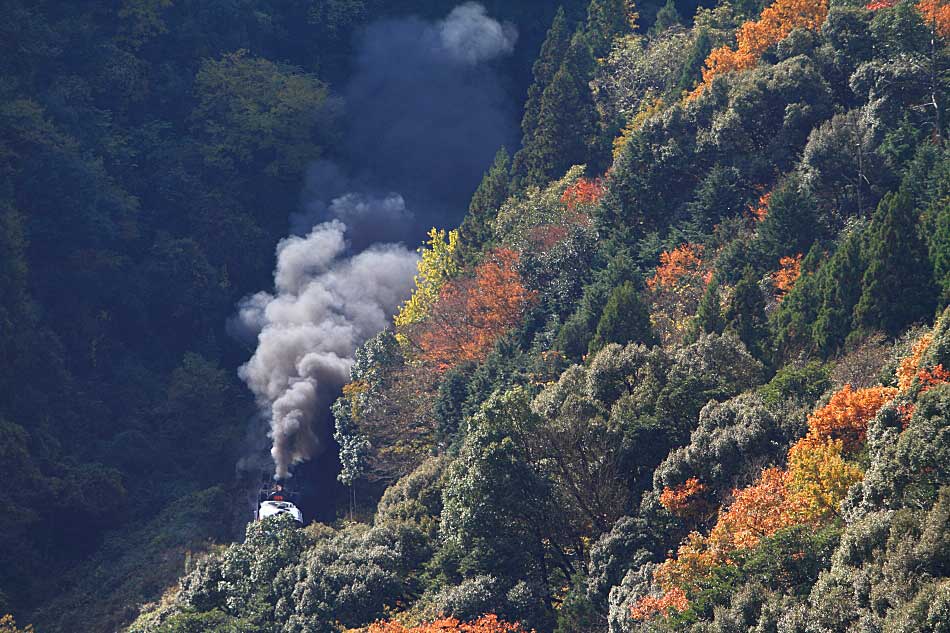 山口線の写真