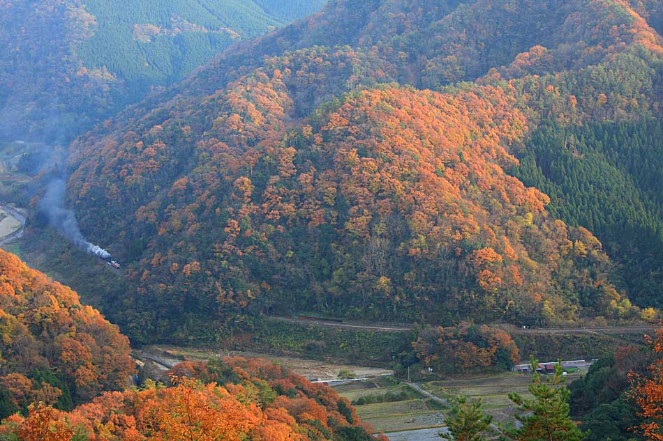 山口線の写真