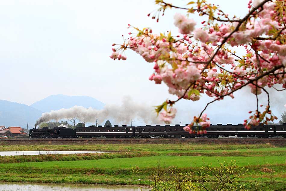 山口線の写真