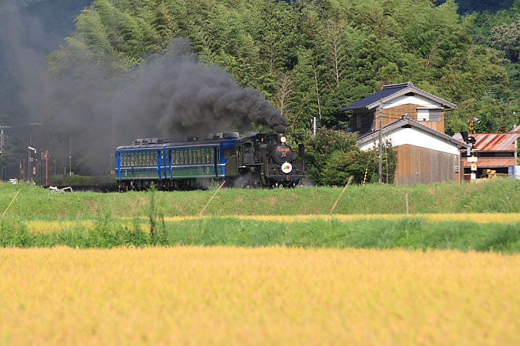 山口線の写真