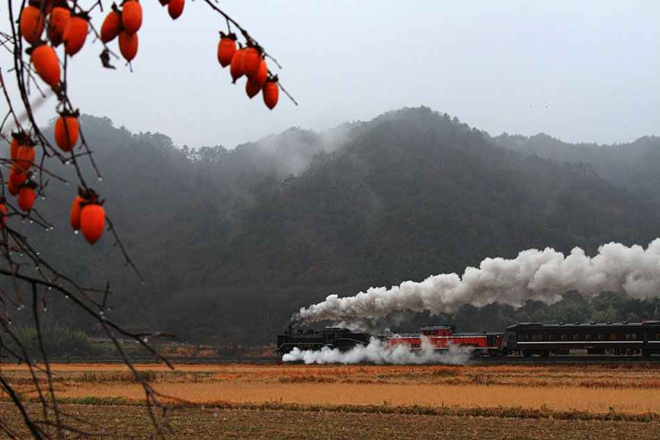 山口線の写真