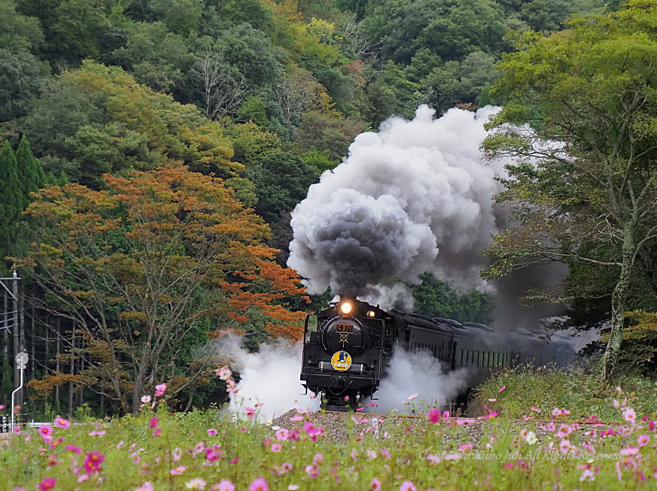 山口線の写真