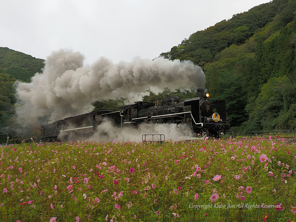 山口線の写真