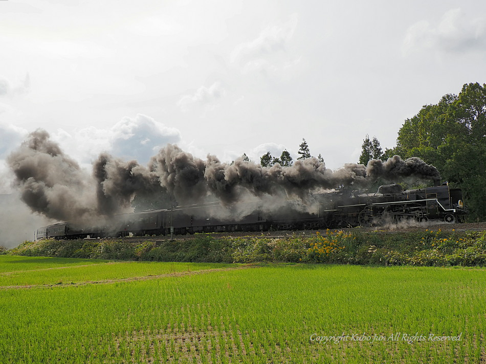 山口線の写真