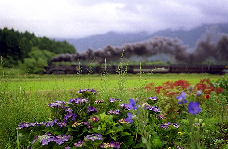 山口線の写真