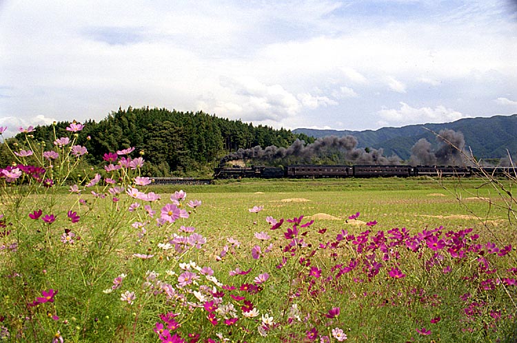 山口線の写真