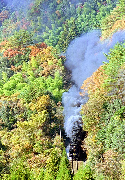 山口線の写真