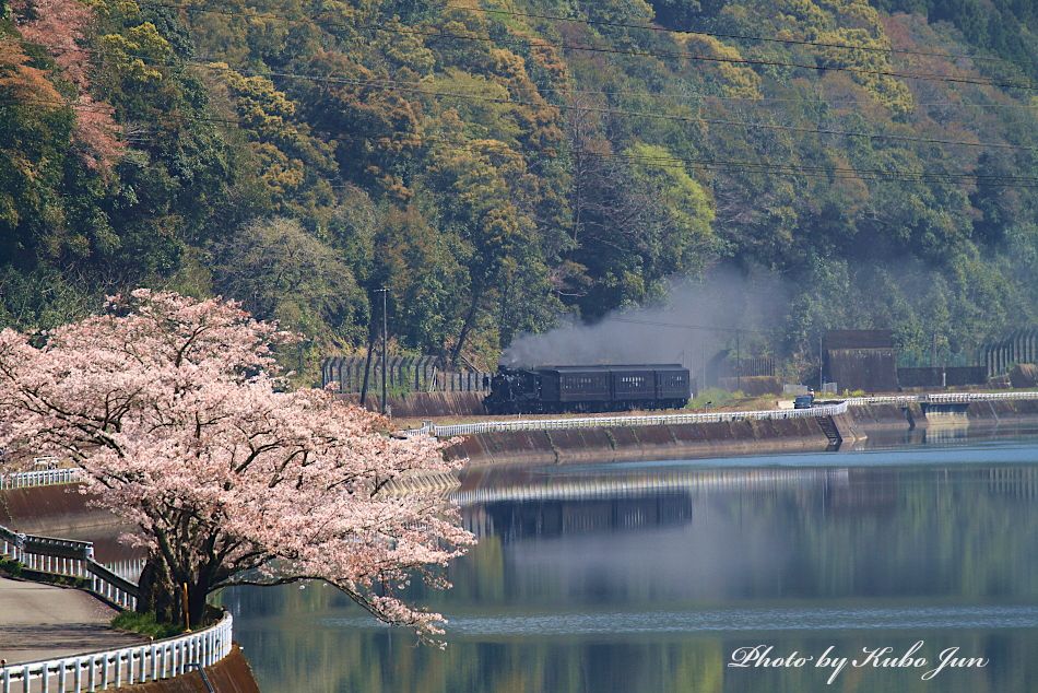 肥薩線の写真