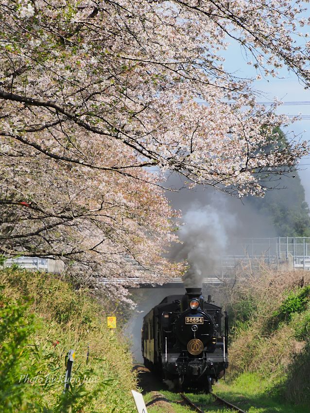 肥薩線の写真