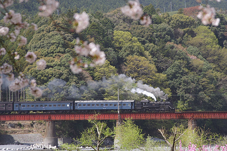 大井川鐡道の写真