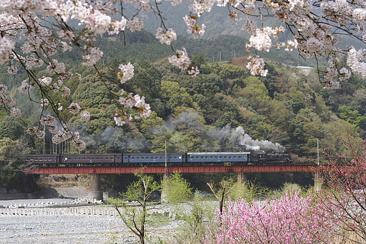 大井川鐡道の写真