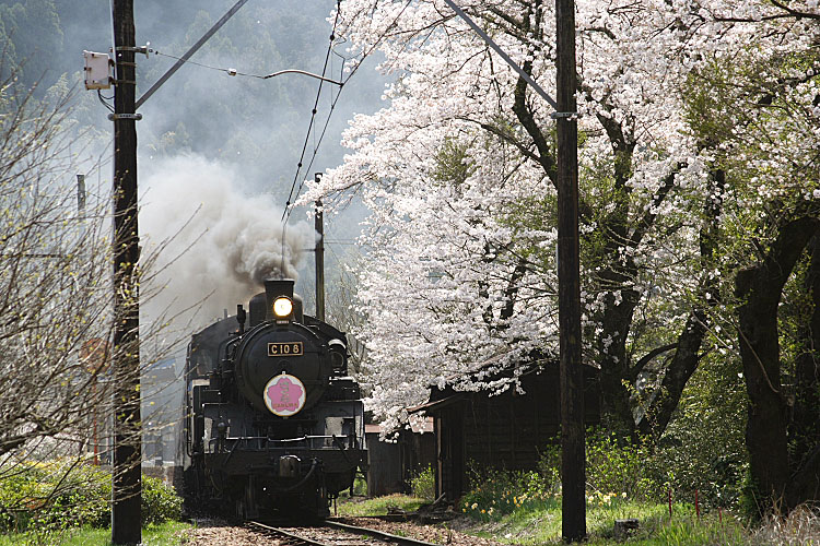 大井川鐡道の写真