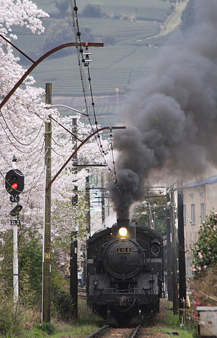 大井川鐡道の写真