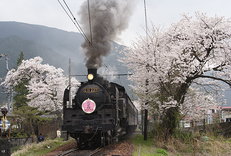 大井川鐡道の写真