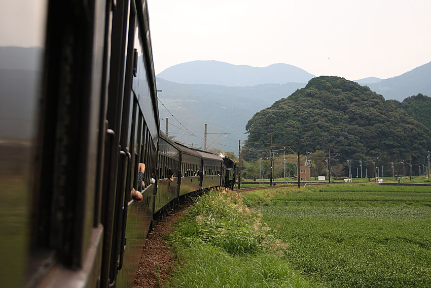 大井川鐡道の写真