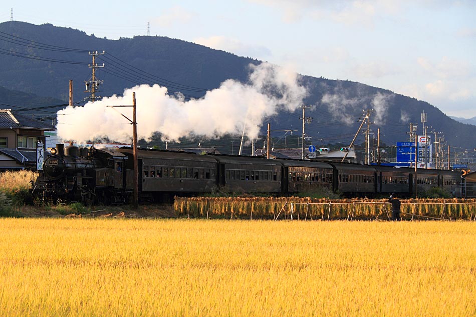 大井川鐡道の写真