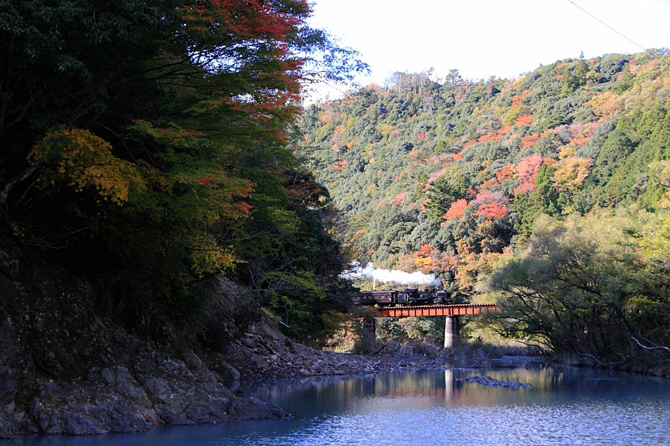 大井川鐡道の写真