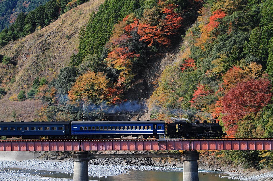 大井川鐡道の写真