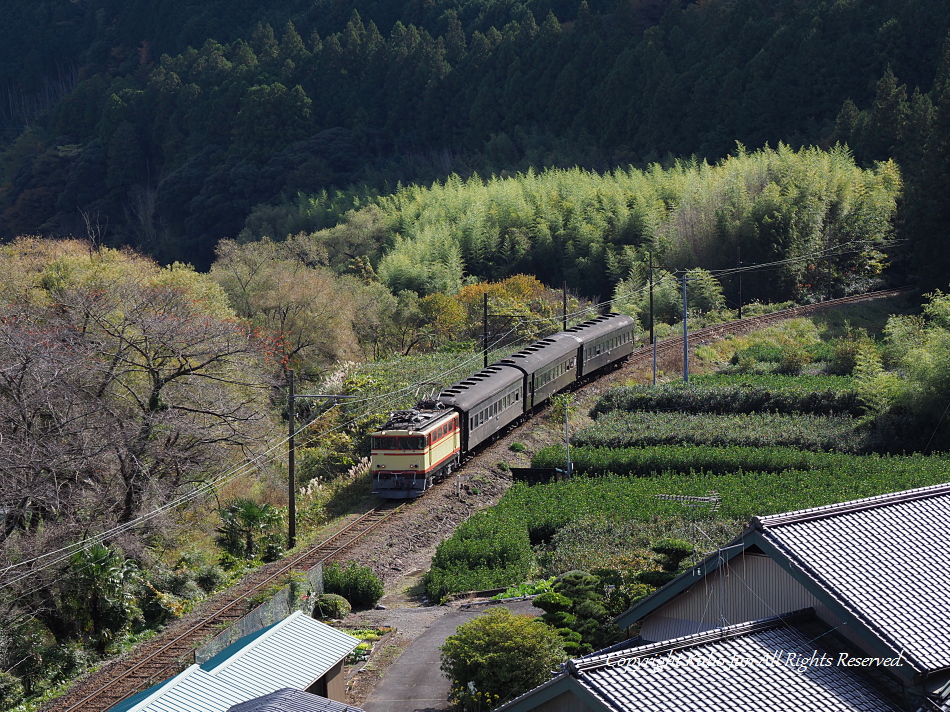 大井川鐡道の写真