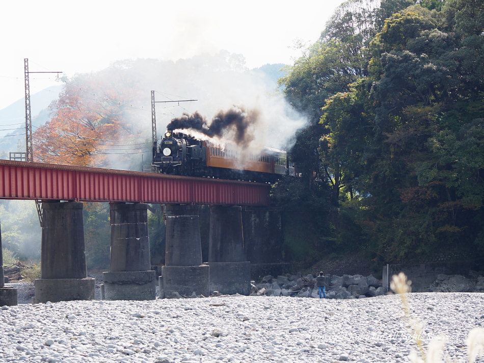 大井川鐡道の写真