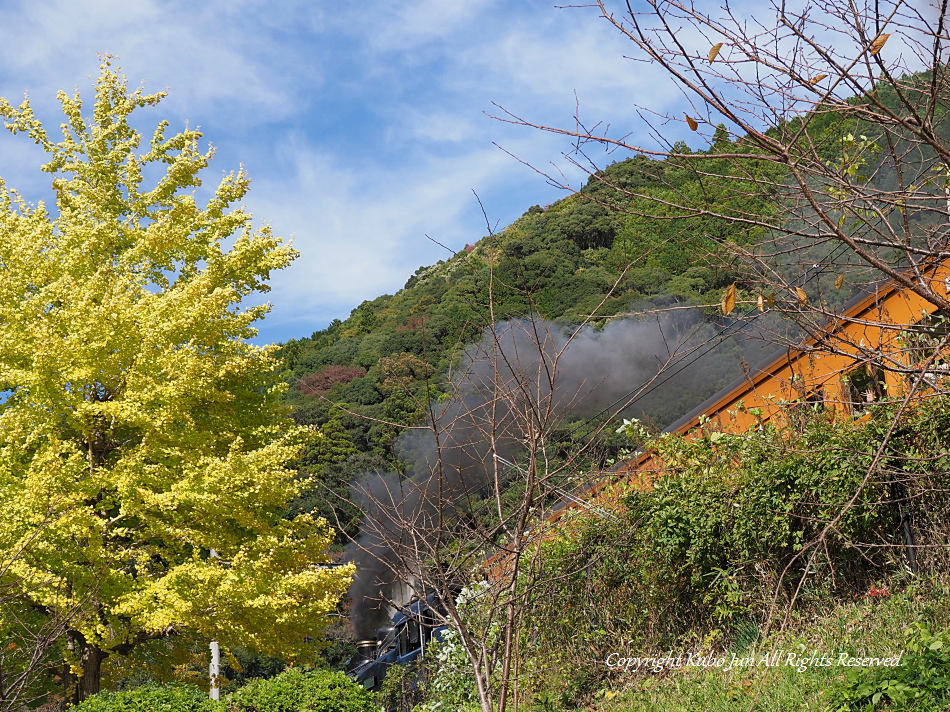 大井川鐡道の写真