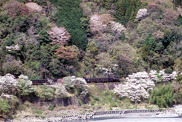 大井川鐡道の写真