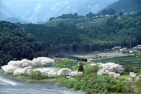 大井川鐡道の写真