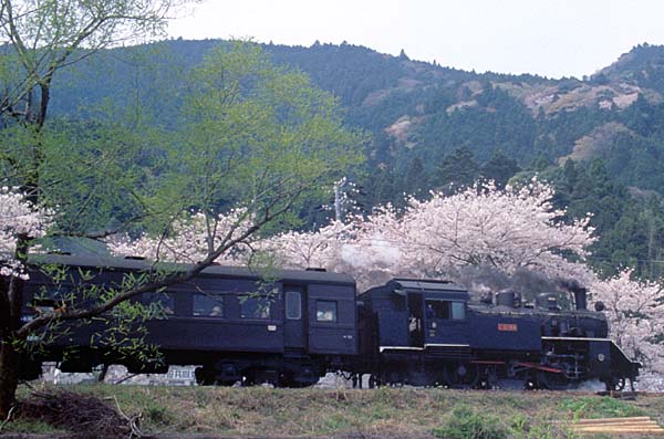 大井川鐡道の写真