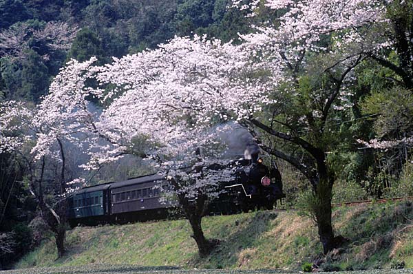 大井川鐡道の写真