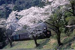 蒸気機関車イメージ画像