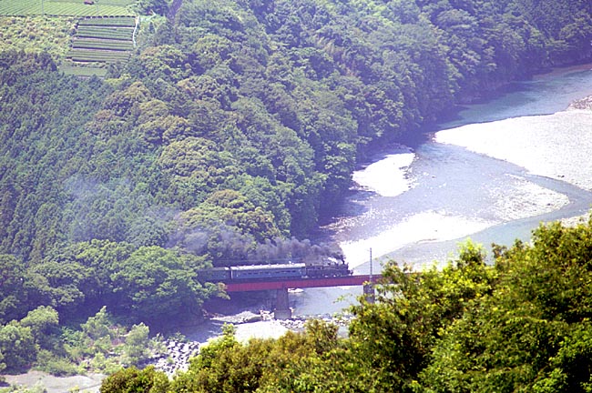 大井川鐡道の写真