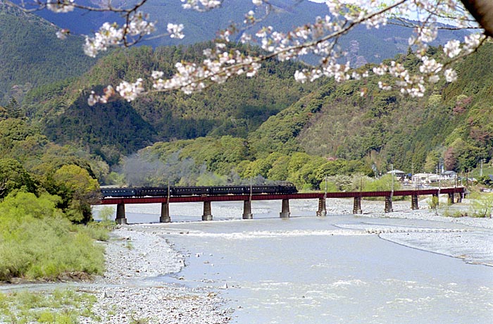 大井川鐡道の写真