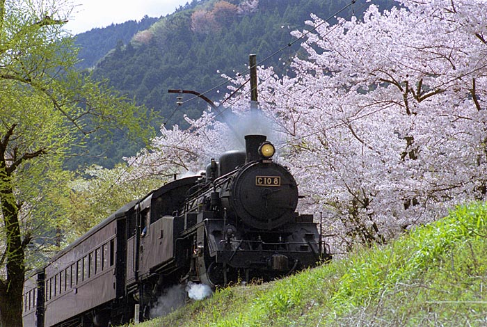 大井川鐡道の写真