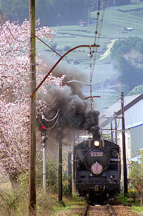 大井川鐡道の写真