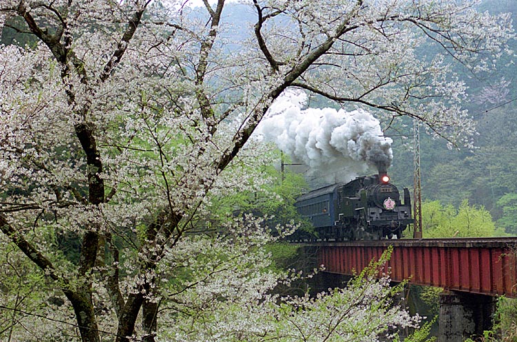 大井川鐡道の写真