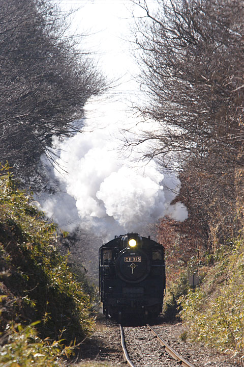 真岡鐡道の写真