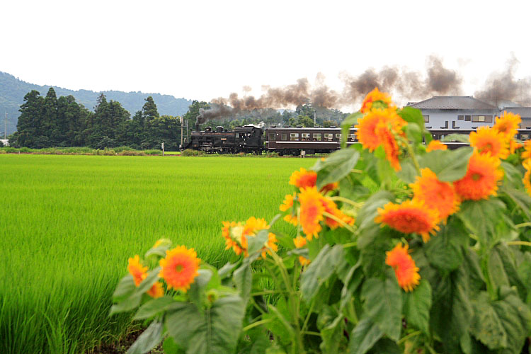 真岡鐡道の写真