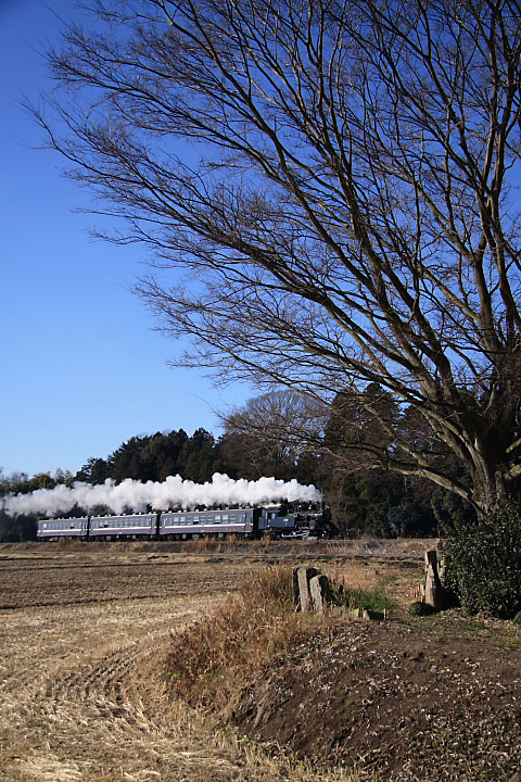 真岡鐡道の写真