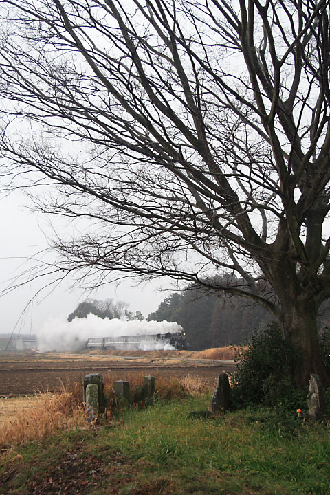 真岡鐡道の写真