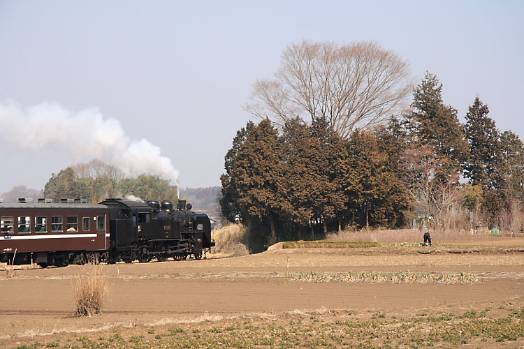 真岡鐡道の写真