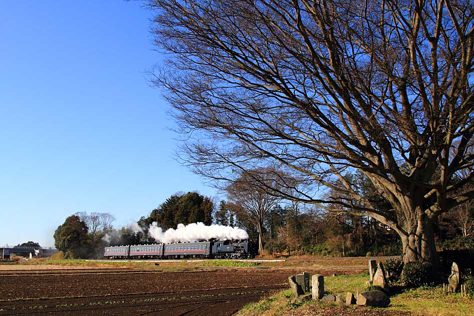 真岡鐡道の写真